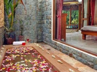 Mayang Private Pool Villa Seminyak (Bali)