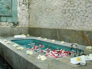 Mayang Private Pool Villa Seminyak (Bali)