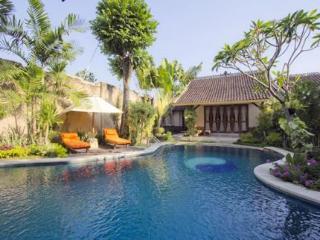 Mayang Private Pool Seminyak (Bali)