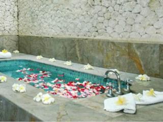 Mayang Private Pool