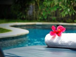 Villa Mayang Private Pool *